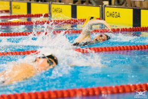 Schwimmer beim kraulen bei den Deutschen Meisterschaften